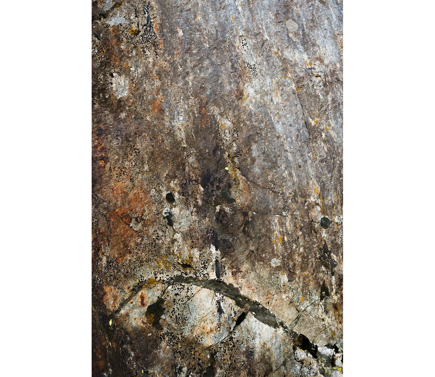 Christian Indergand - Bildende Kunst - FotografieNach der Naturwww.christianindergand.ch www.christianindergand.ch/ christianindergand.ch christianindergand.ch/Christian Indergand, Bildende Kunst ,Art, Artist, Artistic, Fotografie, Fotograf, Photogr…