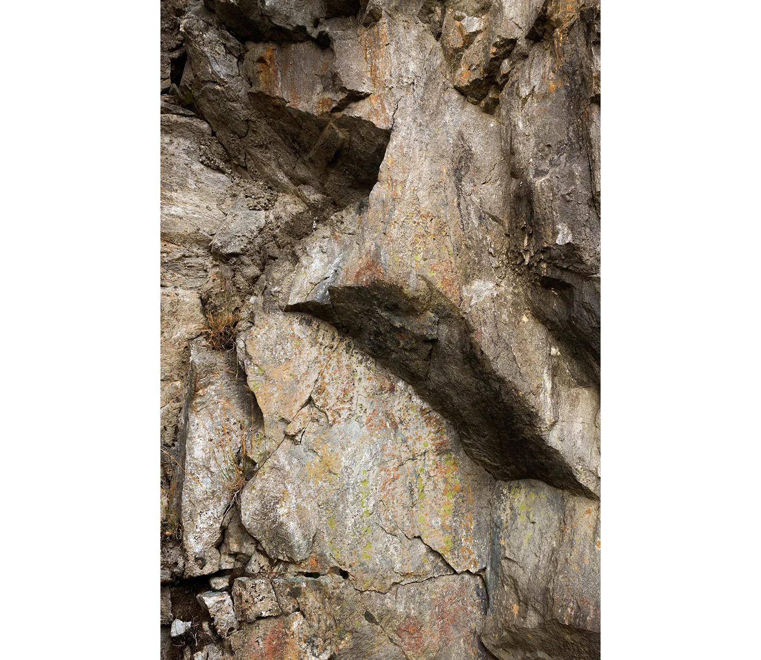 Christian Indergand - Bildende Kunst - FotografieNach der Naturwww.christianindergand.ch www.christianindergand.ch/ christianindergand.ch christianindergand.ch/Christian Indergand, Bildende Kunst ,Art, Artist, Artistic, Fotografie, Fotograf, Photogr…