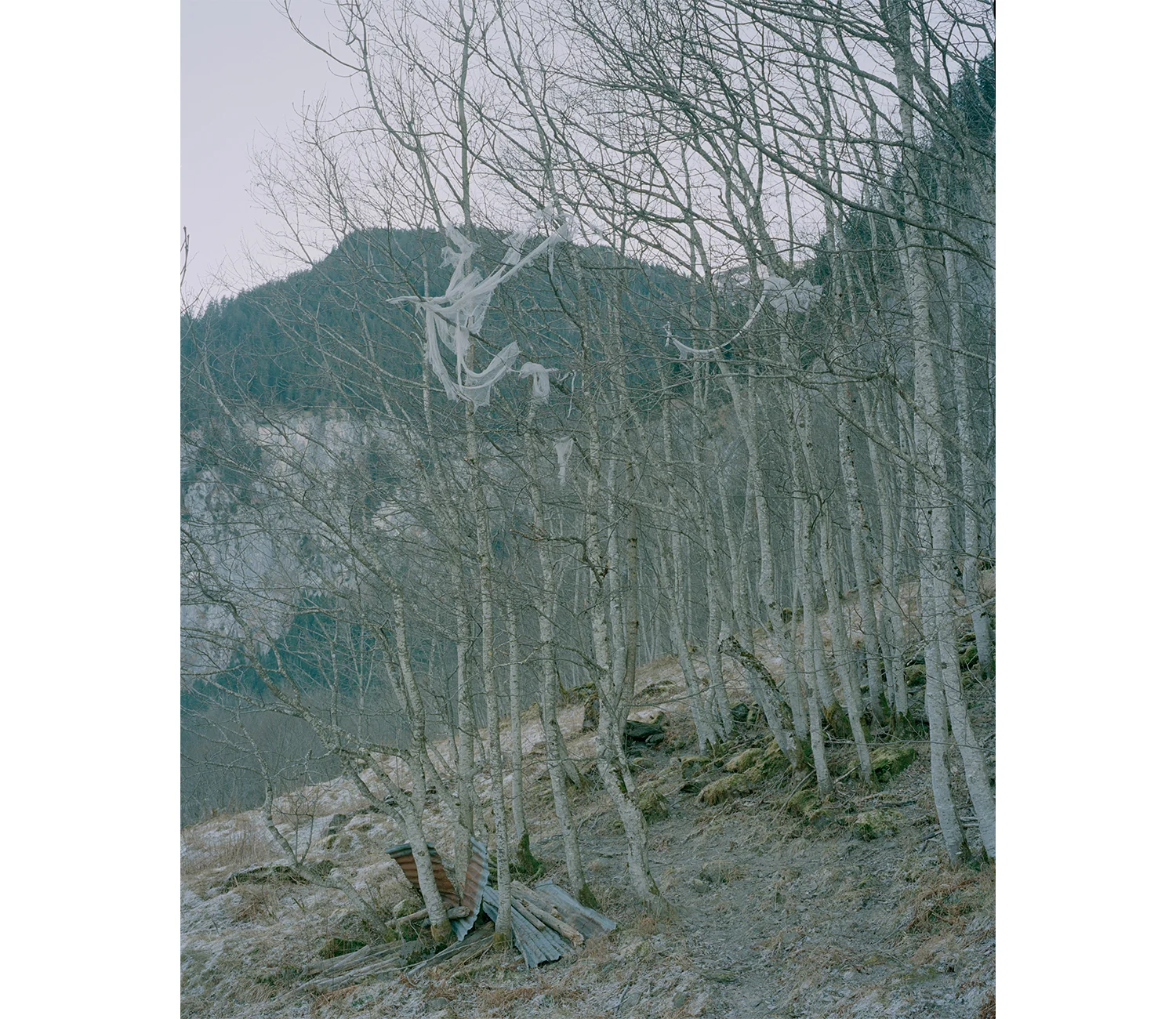 CChristian Indergand - Bildende Kunst - FotografieHomepagewww.christianindergand.ch www.christianindergand.ch/ christianindergand.ch christianindergand.ch/Christian Indergand, Bildende Kunst ,Art, Artist, Artistic, Fotografie, Fotograf, Photographer…