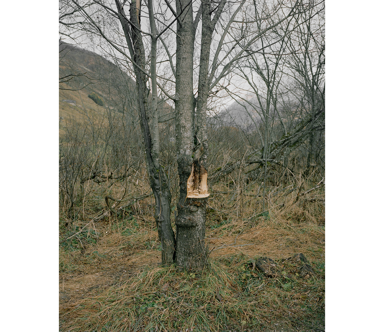 Christian Indergand - Bildende Kunst - FotografieHomepagewww.christianindergand.ch www.christianindergand.ch/ christianindergand.ch christianindergand.ch/Christian Indergand, Bildende Kunst ,Art, Artist, Artistic, Fotografie, Fotograf, Photographer,…