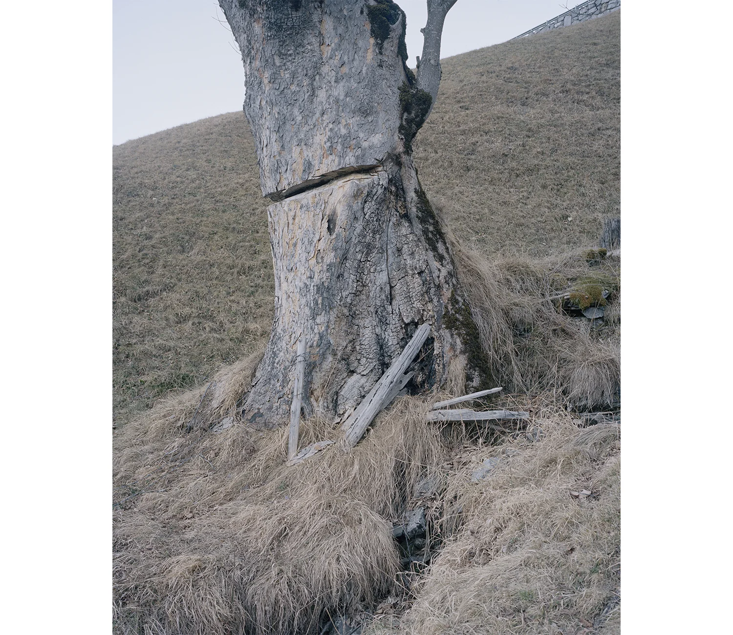 Christian Indergand - Bildende Kunst - FotografieHomepagewww.christianindergand.ch www.christianindergand.ch/ christianindergand.ch christianindergand.ch/Christian Indergand, Bildende Kunst ,Art, Artist, Artistic, Fotografie, Fotograf, Photographer,…