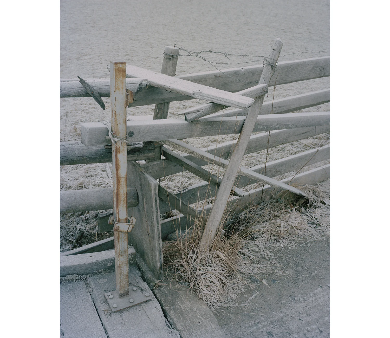 Christian Indergand - Bildende Kunst - FotografieHomepagewww.christianindergand.ch www.christianindergand.ch/ christianindergand.ch christianindergand.ch/Christian Indergand, Bildende Kunst ,Art, Artist, Artistic, Fotografie, Fotograf, Photographer,…