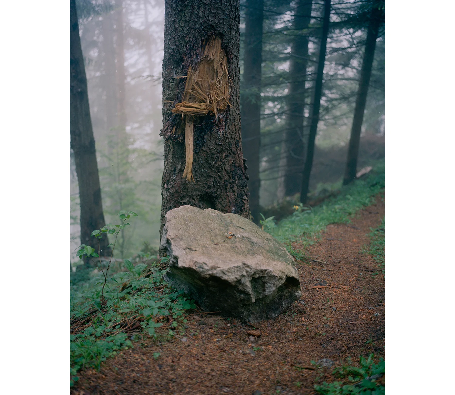 Christian Indergand - Bildende Kunst - FotografieHomepagewww.christianindergand.ch www.christianindergand.ch/ christianindergand.ch christianindergand.ch/Christian Indergand, Bildende Kunst ,Art, Artist, Artistic, Fotografie, Fotograf, Photographer,…