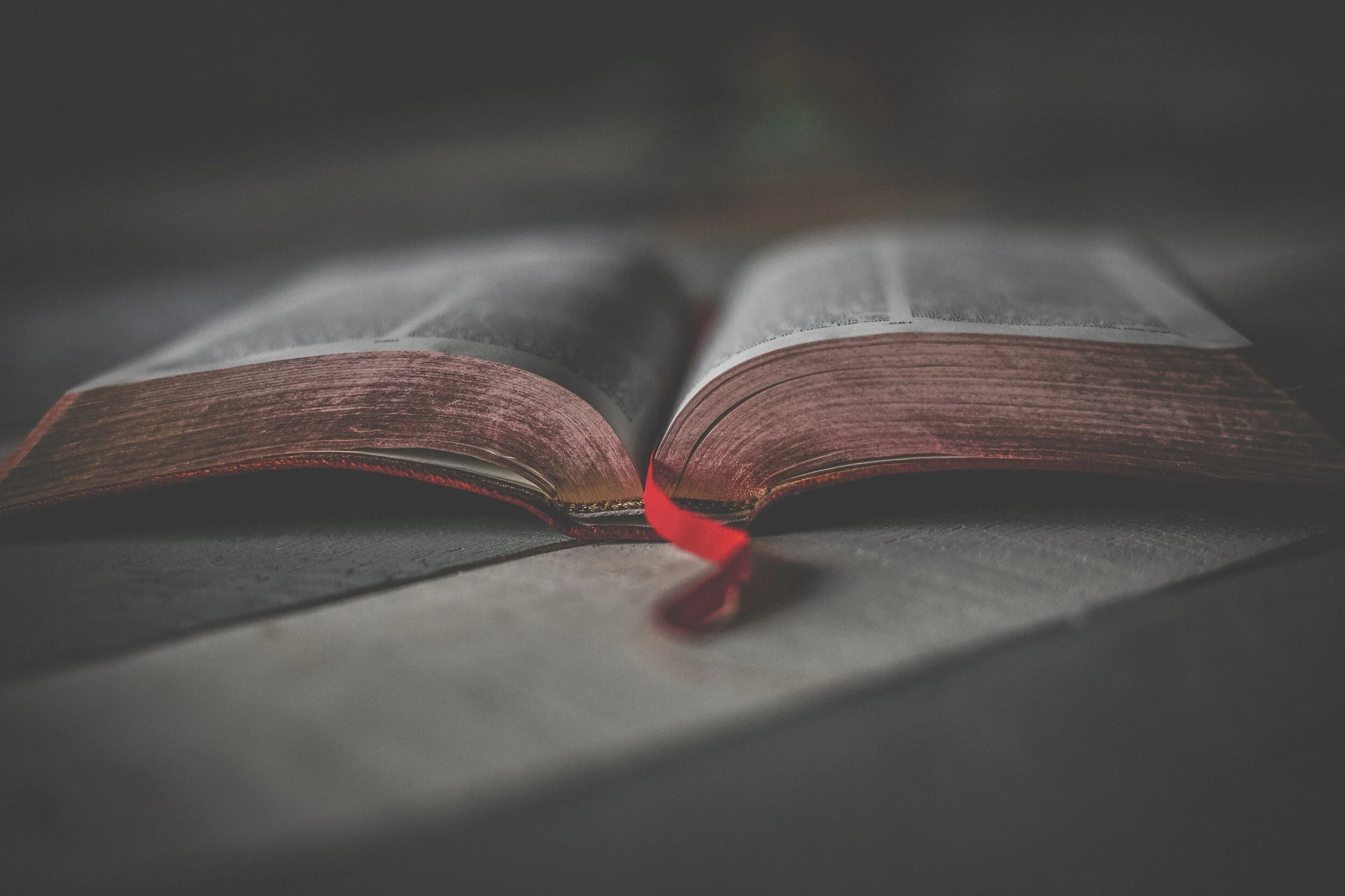 bible-biblia-book-bindings-1112048.jpg