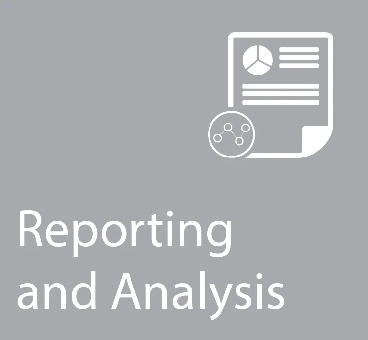 • Preparation of sales reports for management review across multiple dimensions • Preparation of collections reports • AR/DSO reporting • Fraud alert set up and reporting