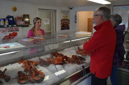 2015-05-10-04-52-00-Lobster 003 AFM web.jpg