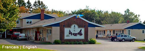 shine motel 3.jpg