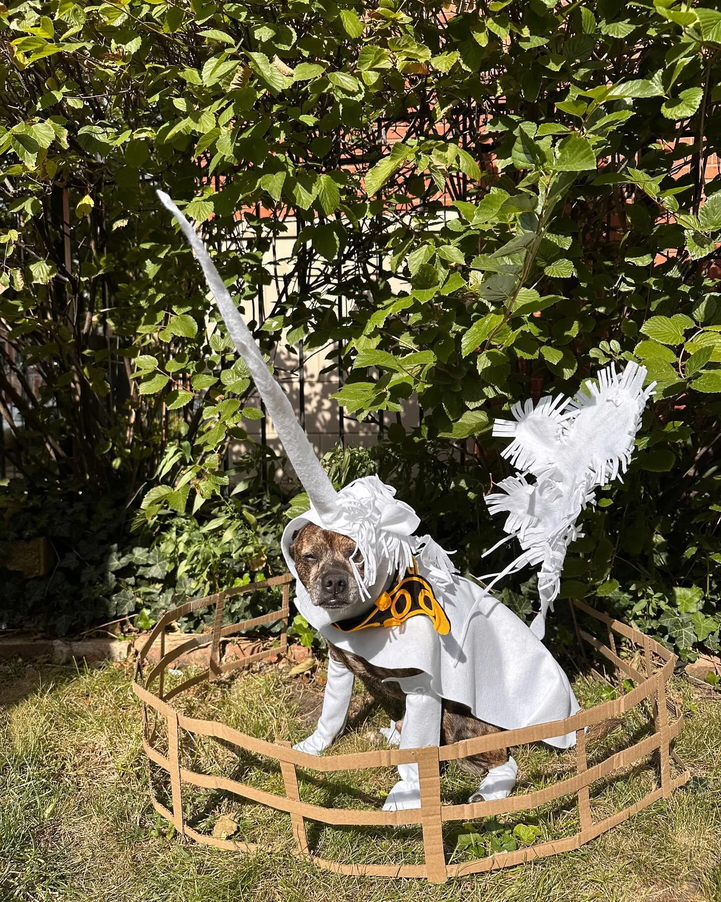Mort Monday - The Unicorn Rests in the Garden as tribute #2 to Ichabod 

Mort always lays down when I try to capture a photo so I set out to find something that would lend itself to his favorite pose and the first thing that came to my art nerd mind 