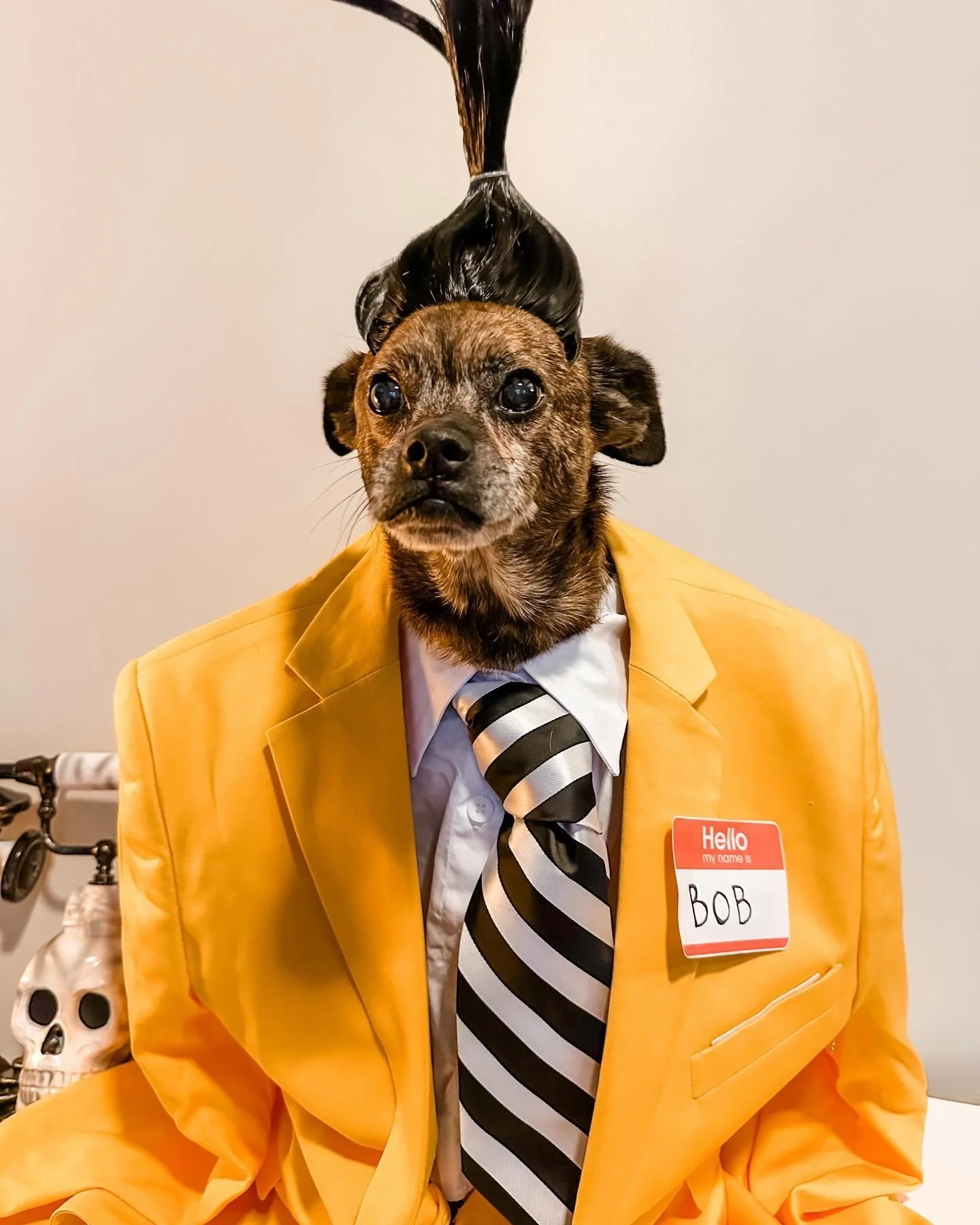 Mort Monday 1 - Bob from Beetlejuice Beetlejuice

Well, friends&hellip; we attempted a Mort Monday in Ichabod&rsquo;s honor but were quickly reminded that unlike his late brother, Mortimer does not enjoy a costume or a photo shoot&hellip;