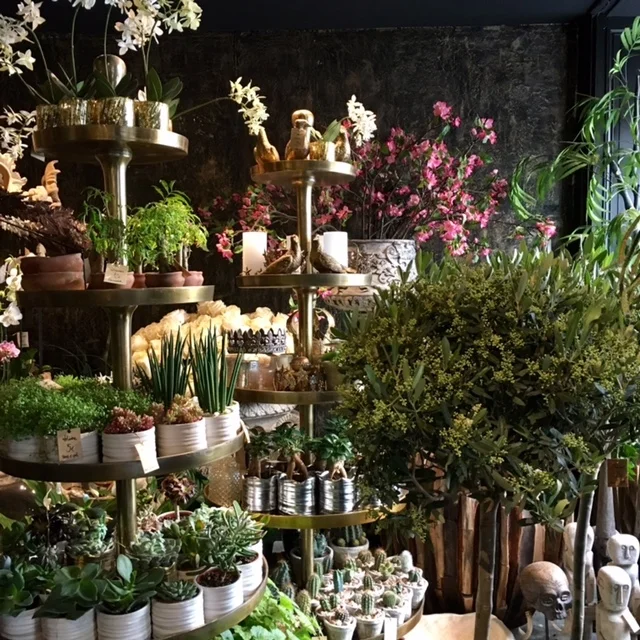 shops | eclectic shop displays | Moor Paris