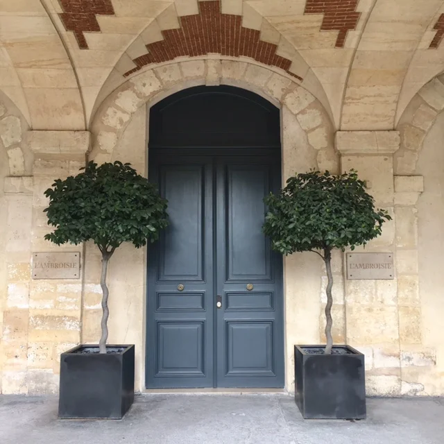 Aspirational inspiration | to have a door entrance as grand and as beautiful as in Places des Vosges