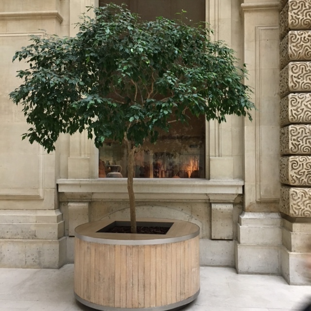 nature | to soften and welcome in Le Louvre