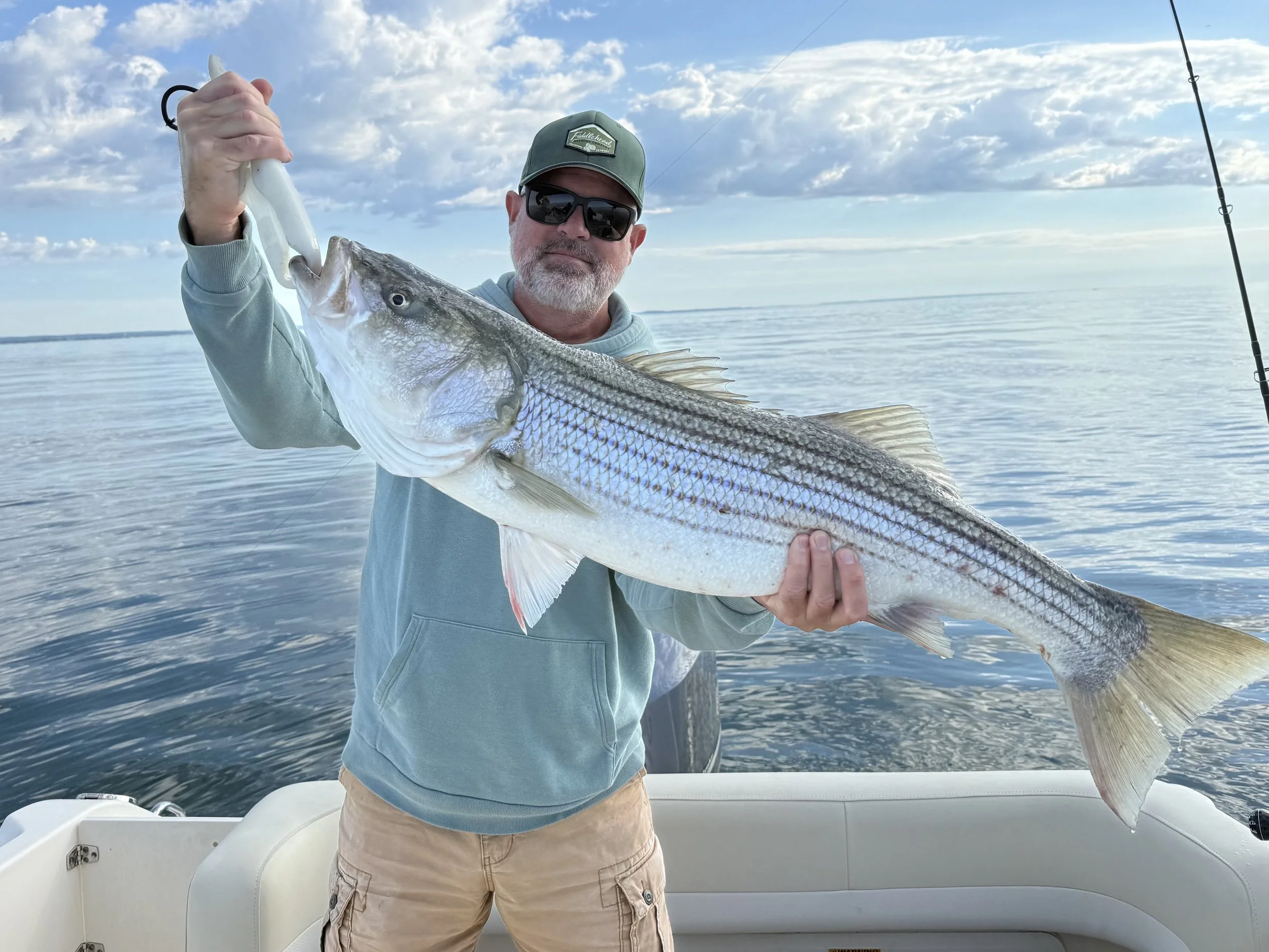Striped Bass