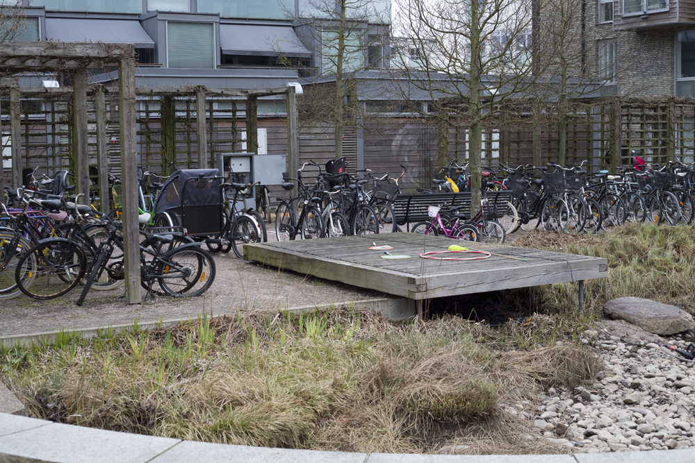 A central "parking lot" and rain garden