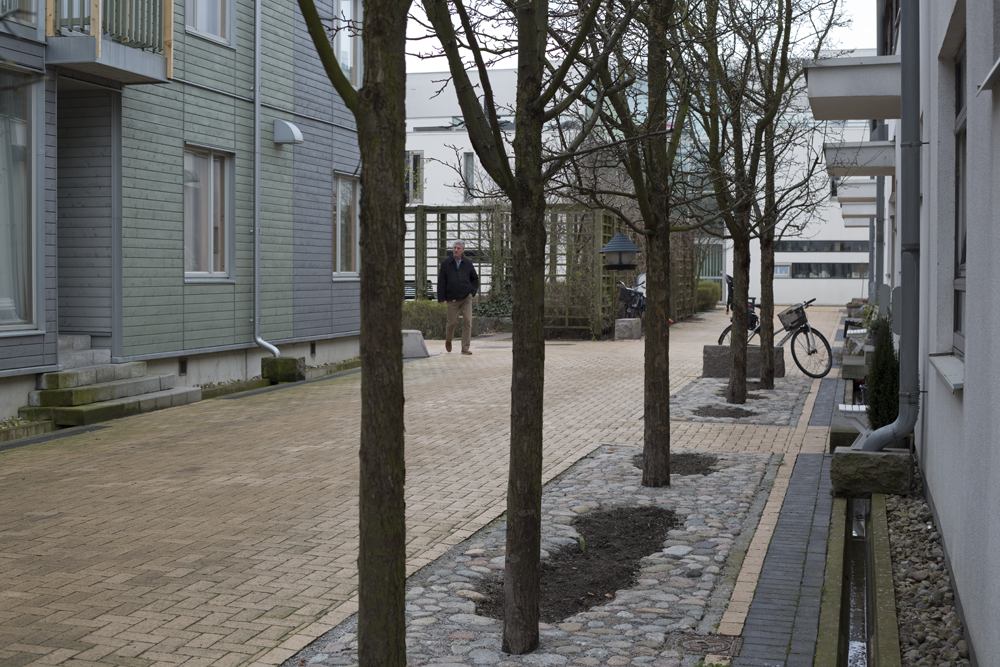  Malmo's wet climate is celebrated in the landscape design of Vastra Hamnen. During rainstorms, water is collected from roofs into street side runnels. 