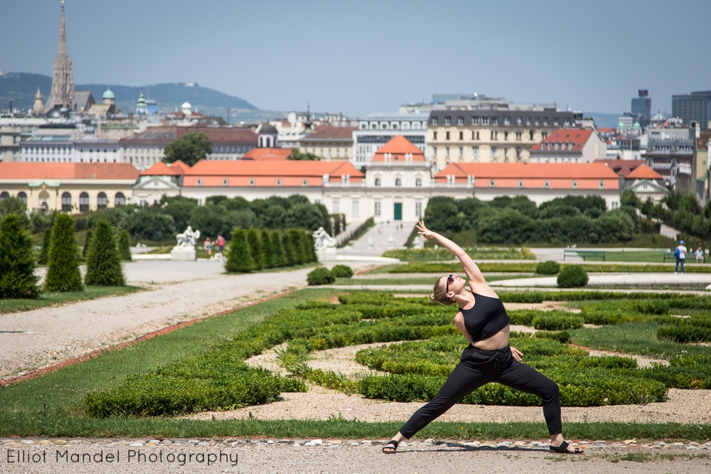 Vienna2016_by_ElliotMandel-65.jpg