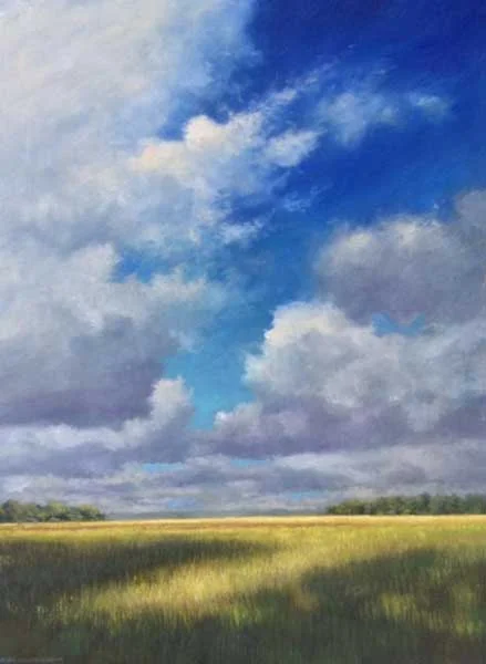 Marsh Shadows