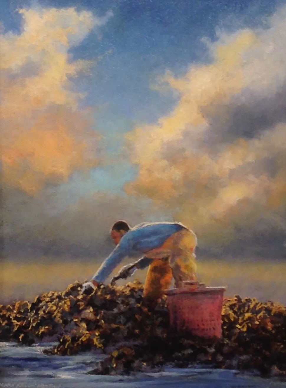 Oyster Season