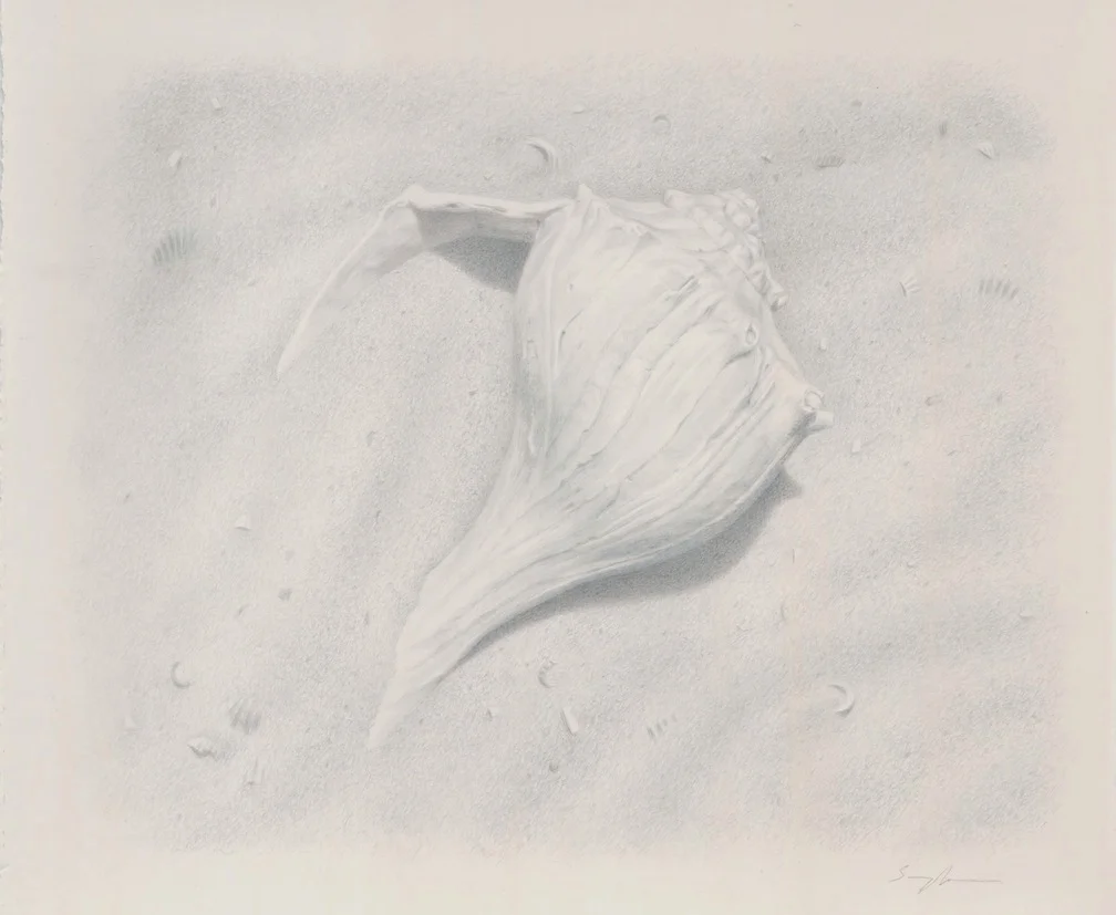 A Memory of the Sea
