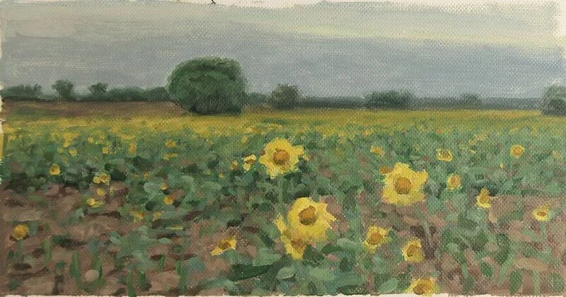 Yellow Wild Flowers