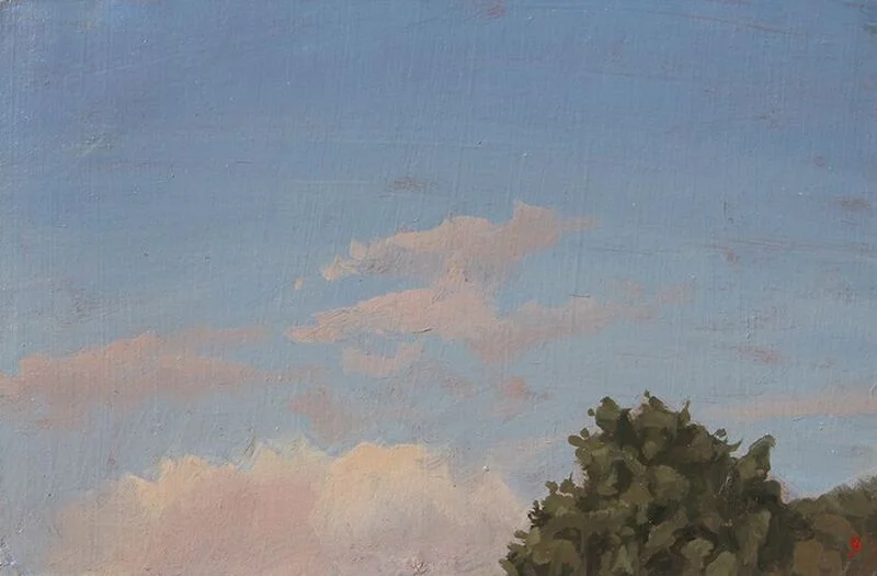 Cloudy Study with Treetop