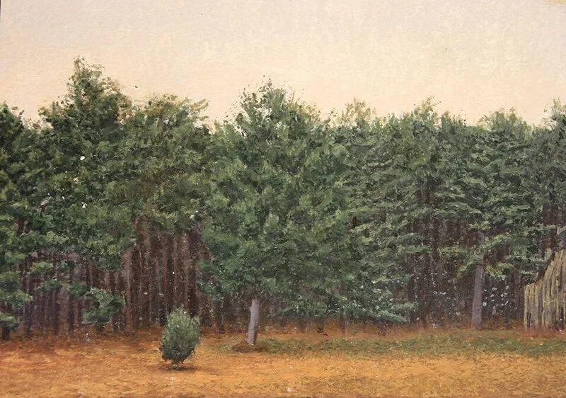 Country Park, Grey Day