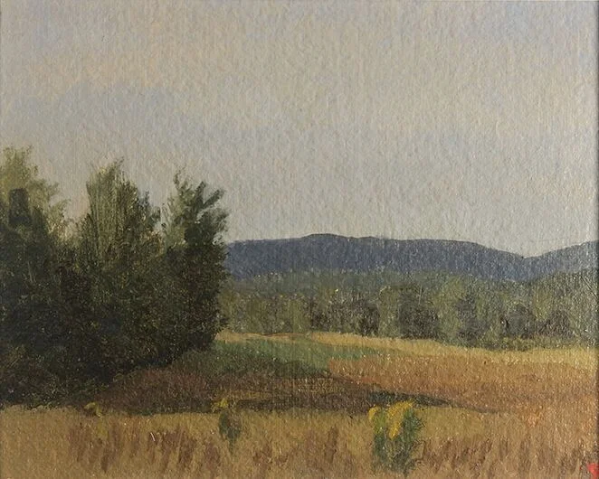 Field in Summer, Maine