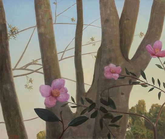 Chatwood Tree with Camellias