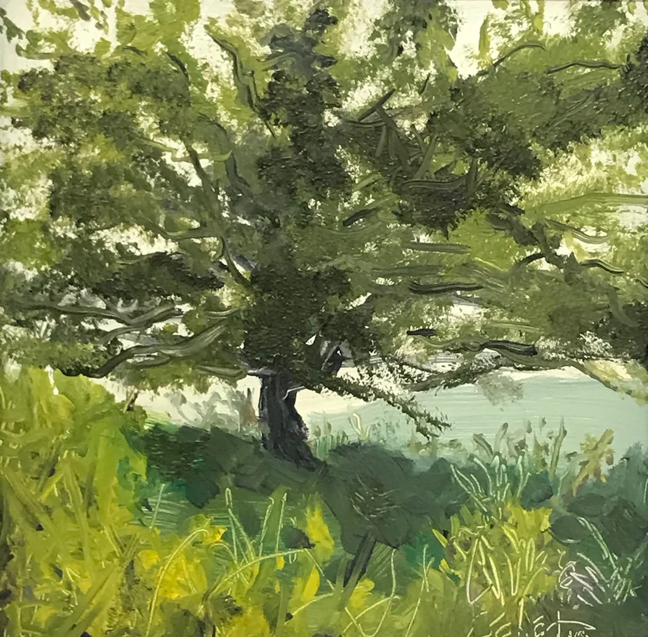 Clyde Edgerton "Wild Apple, Early Spring"