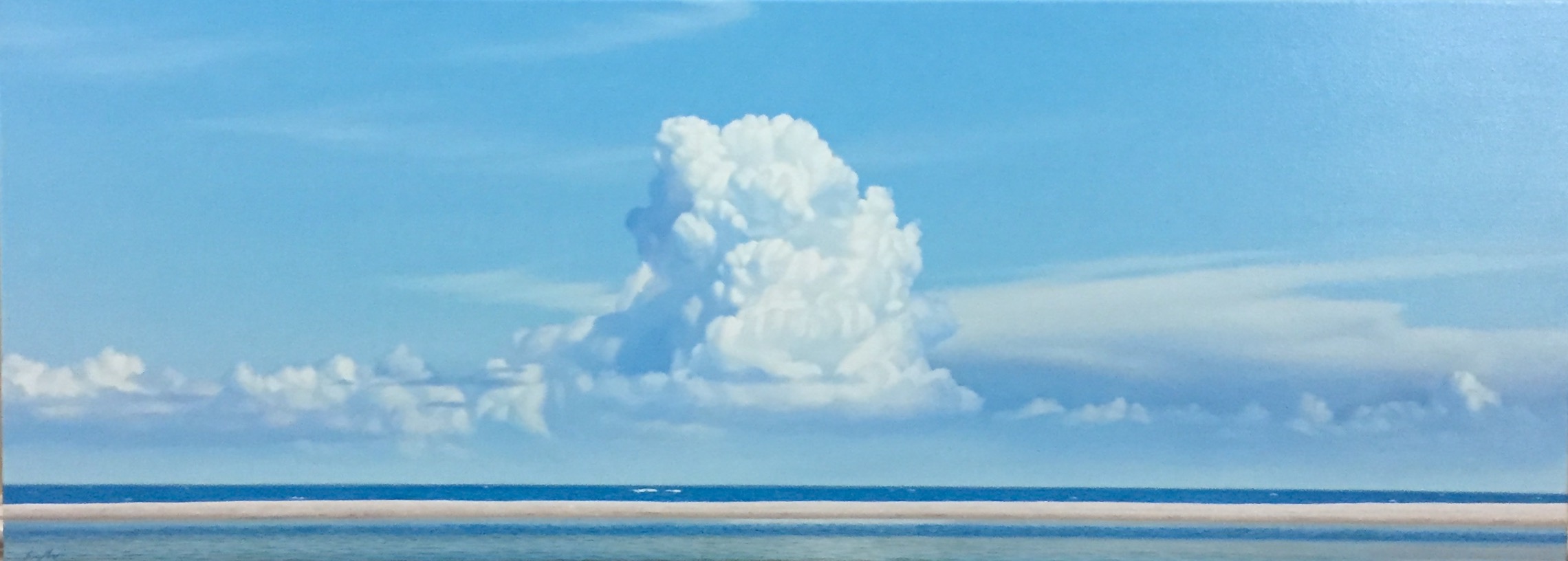 Shark's Island, Tropical Nature