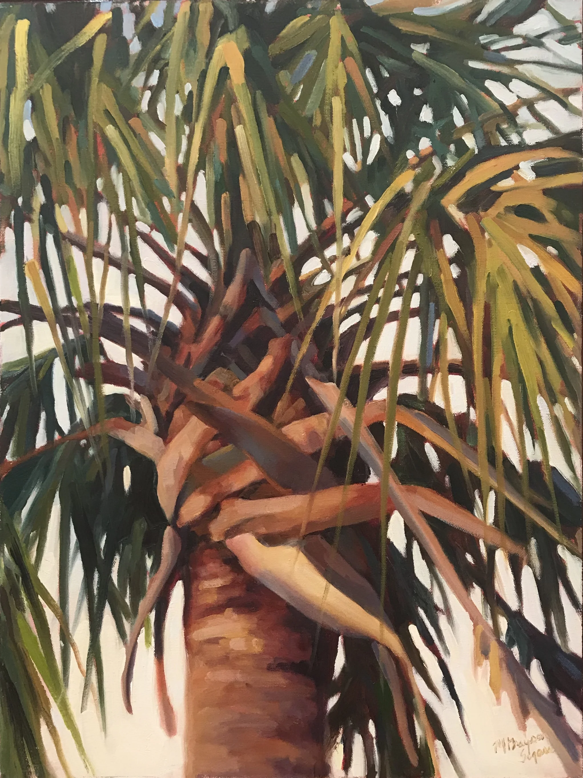 St. Helena Palmetto