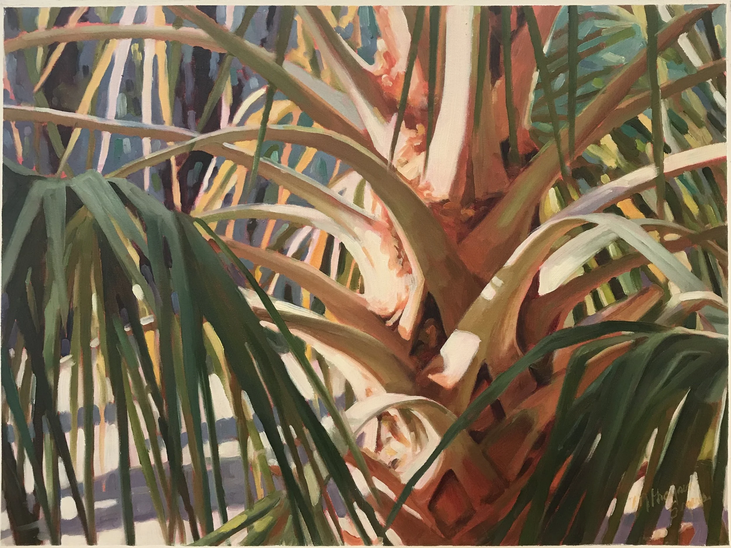 Palmetto in Light