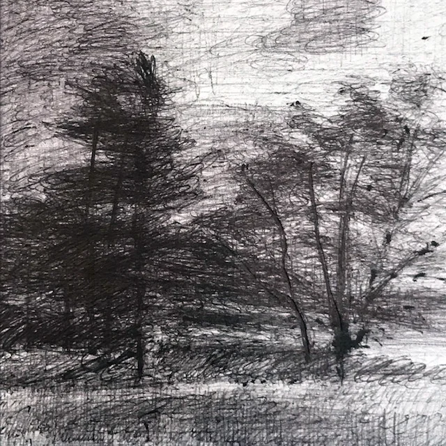 Through the Trees II
