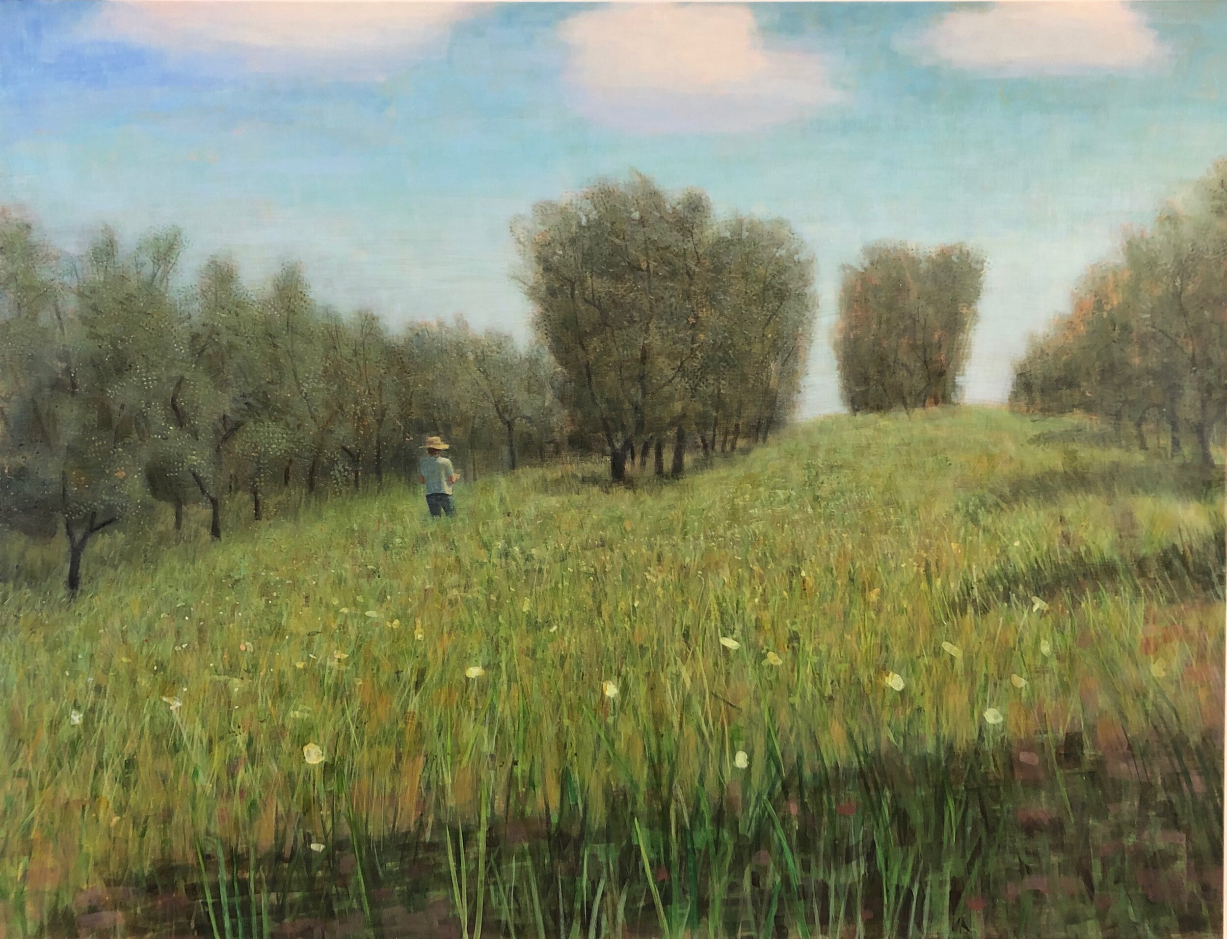 Afternoon in Olive Groves #2 38x50 $32000.jpeg