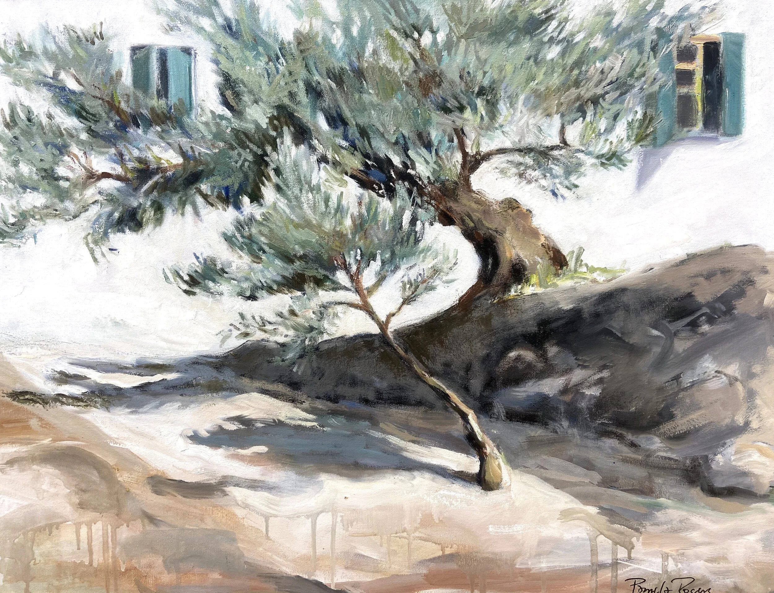 Monastery Olive Tree 24x31 $1400.jpg