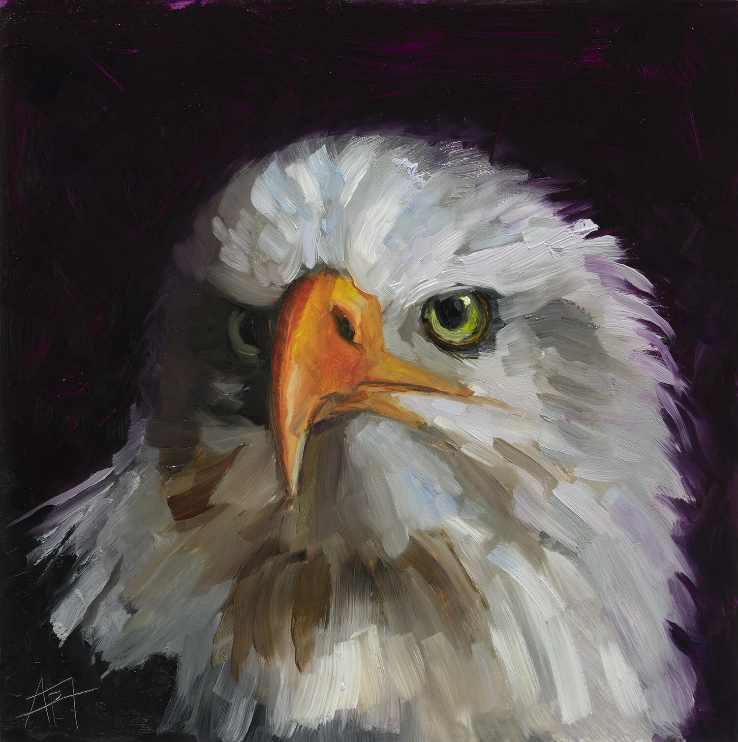 American_Eagle_med.jpg