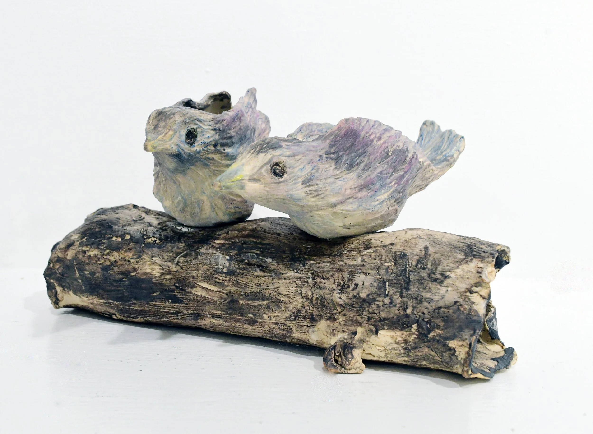 Two Birds on a Small Branch