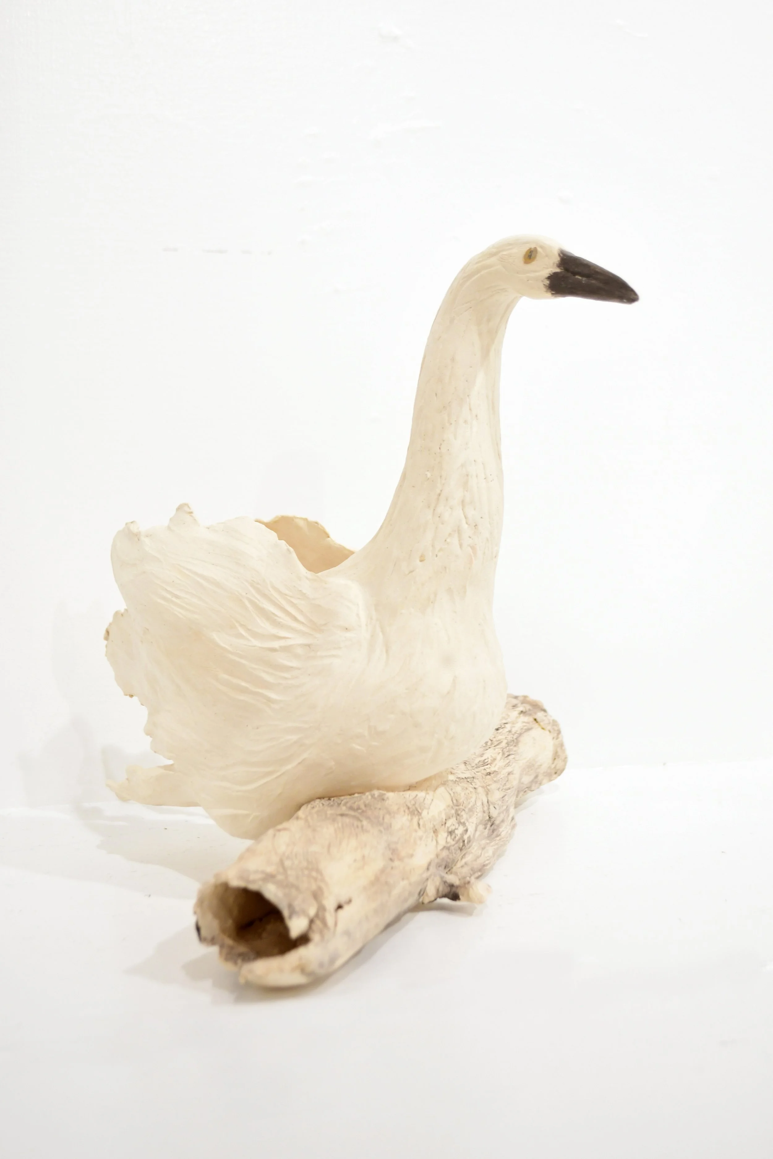 White Bird on a Branch $325.JPG