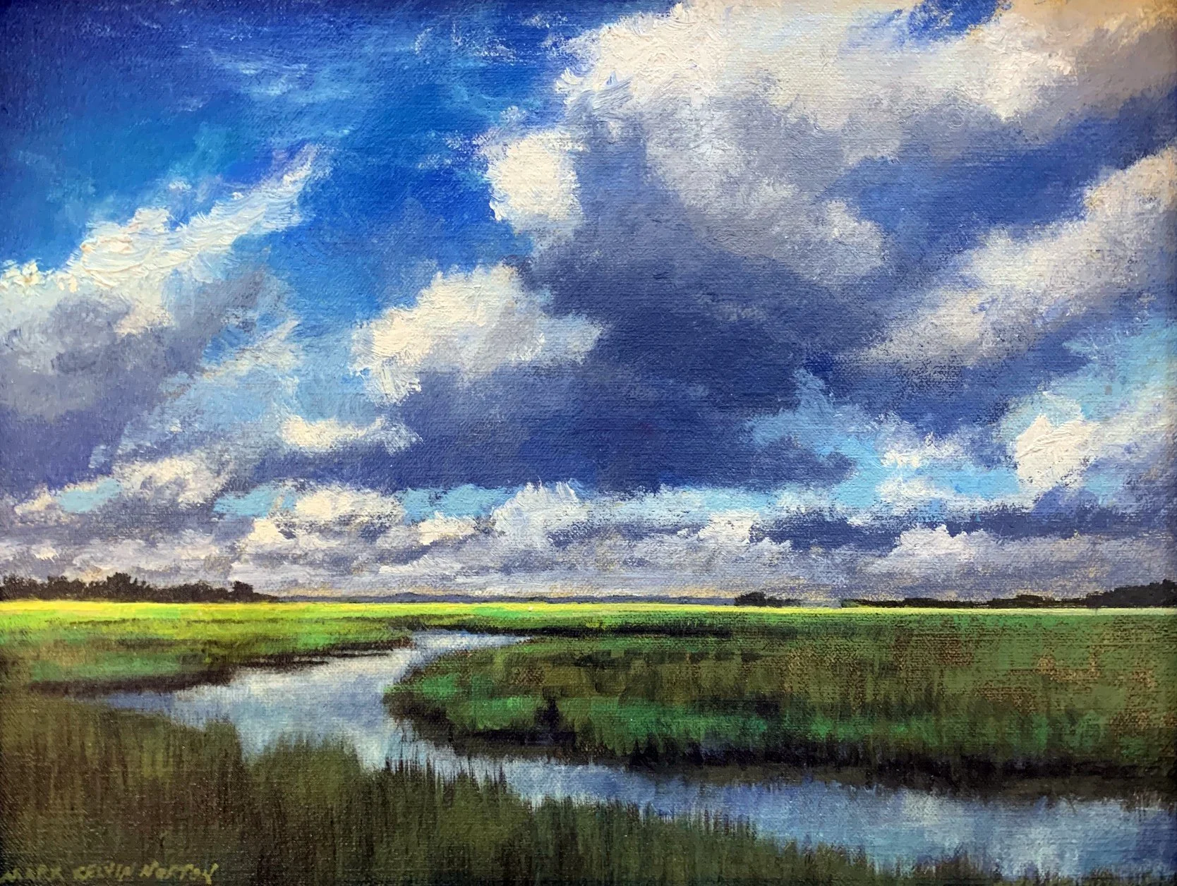 Low Country Blues 11x14 $2000.jpg