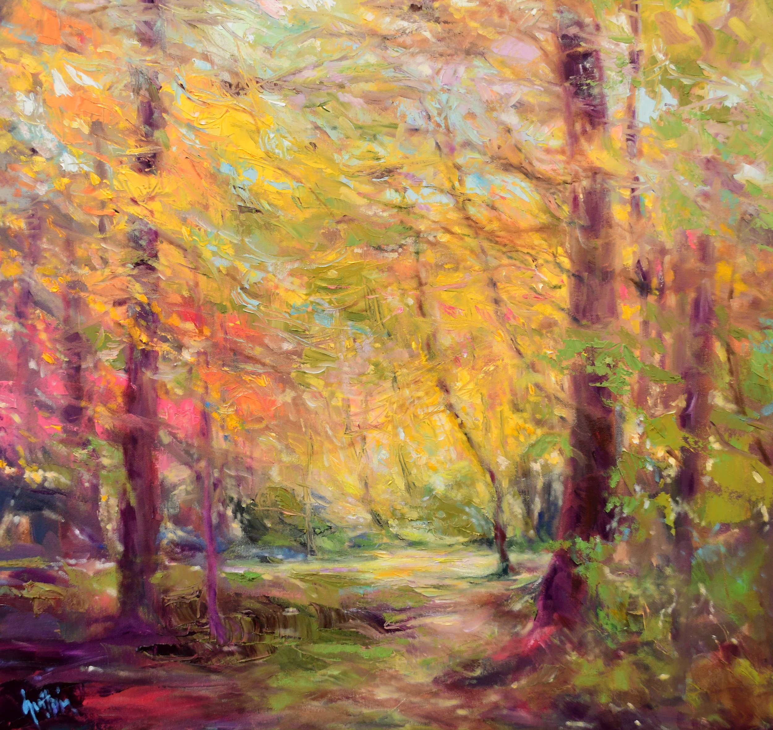 Magic in the Woods