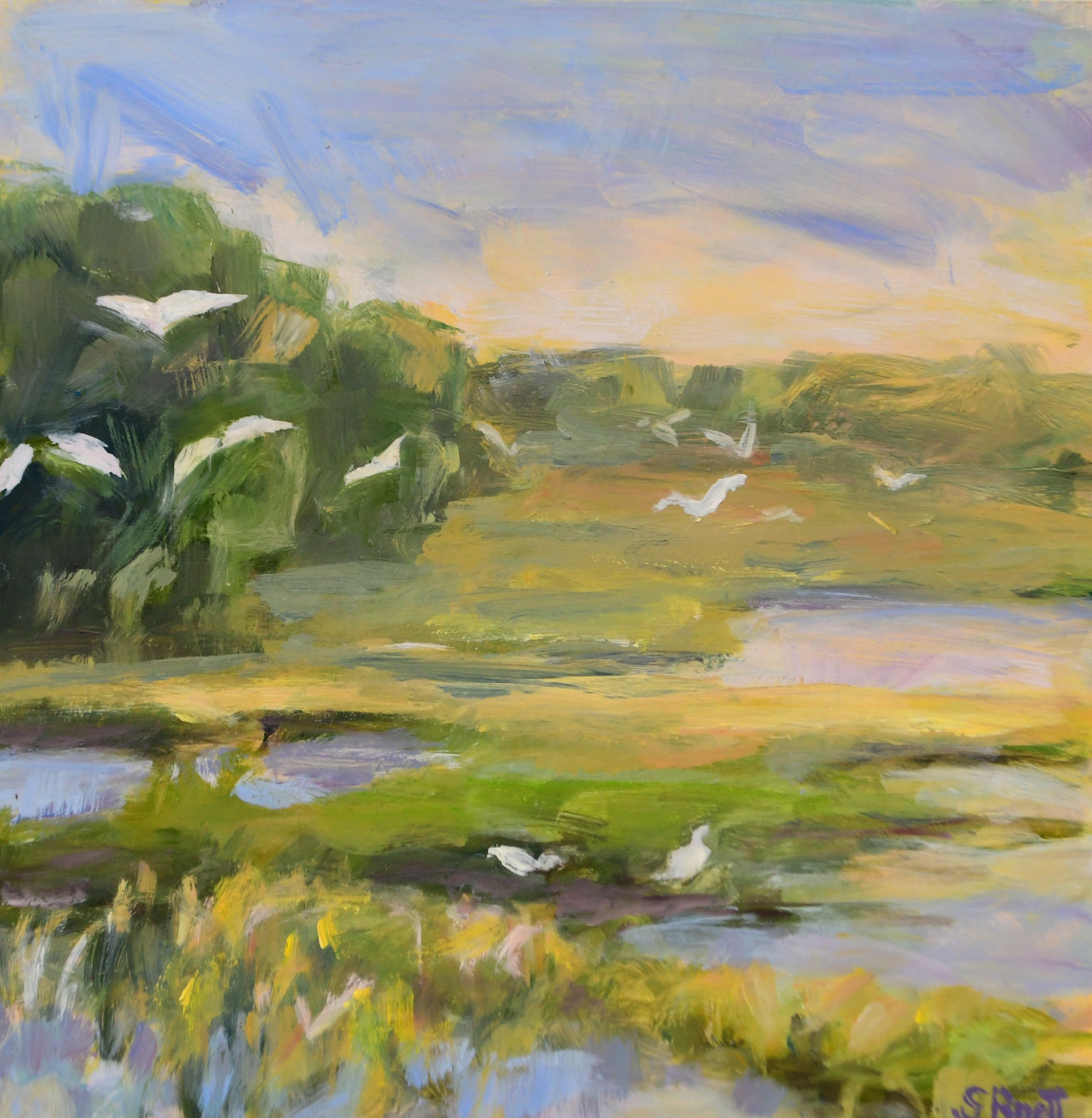 Migrating Birds