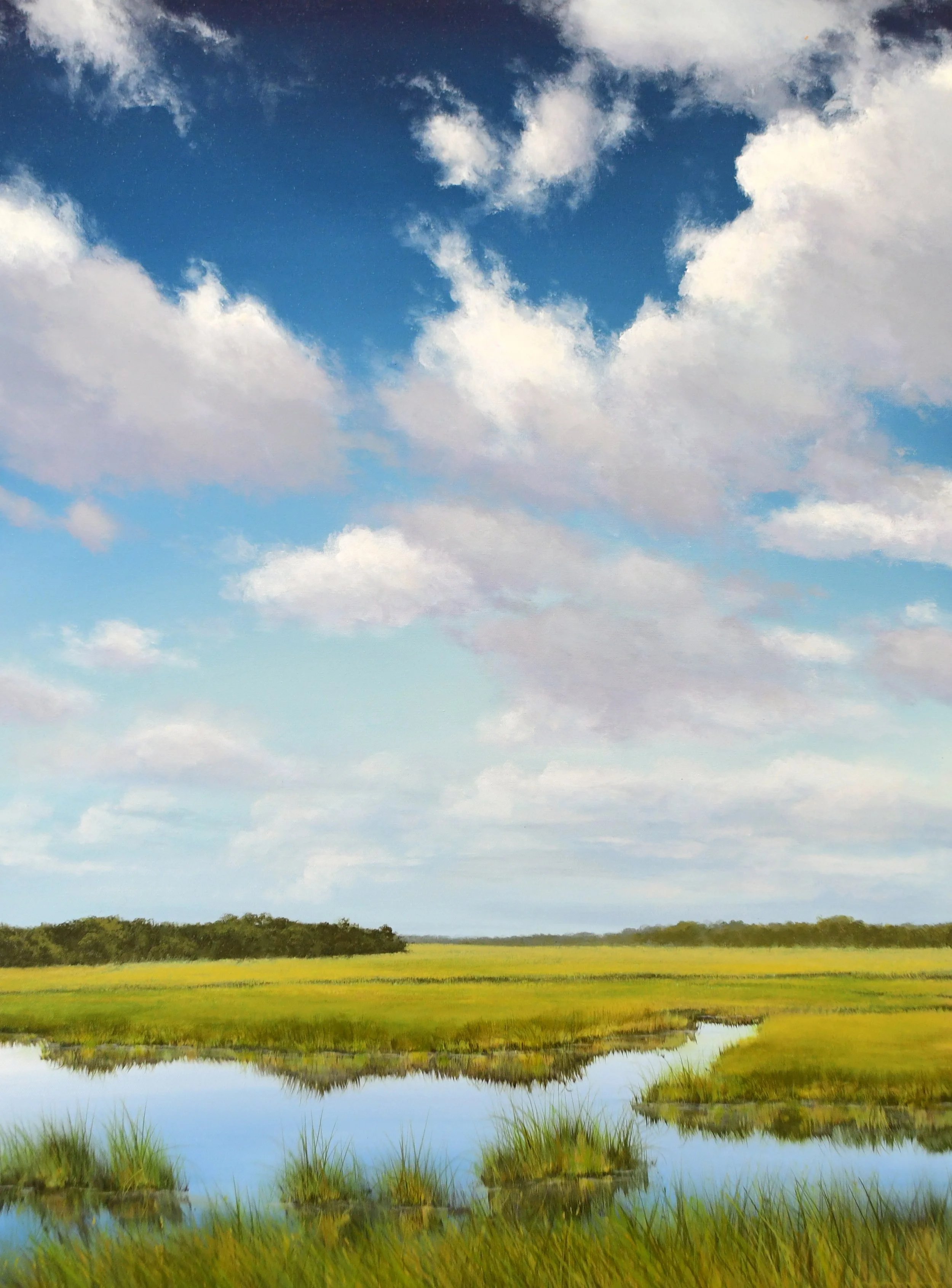Island Wetland
