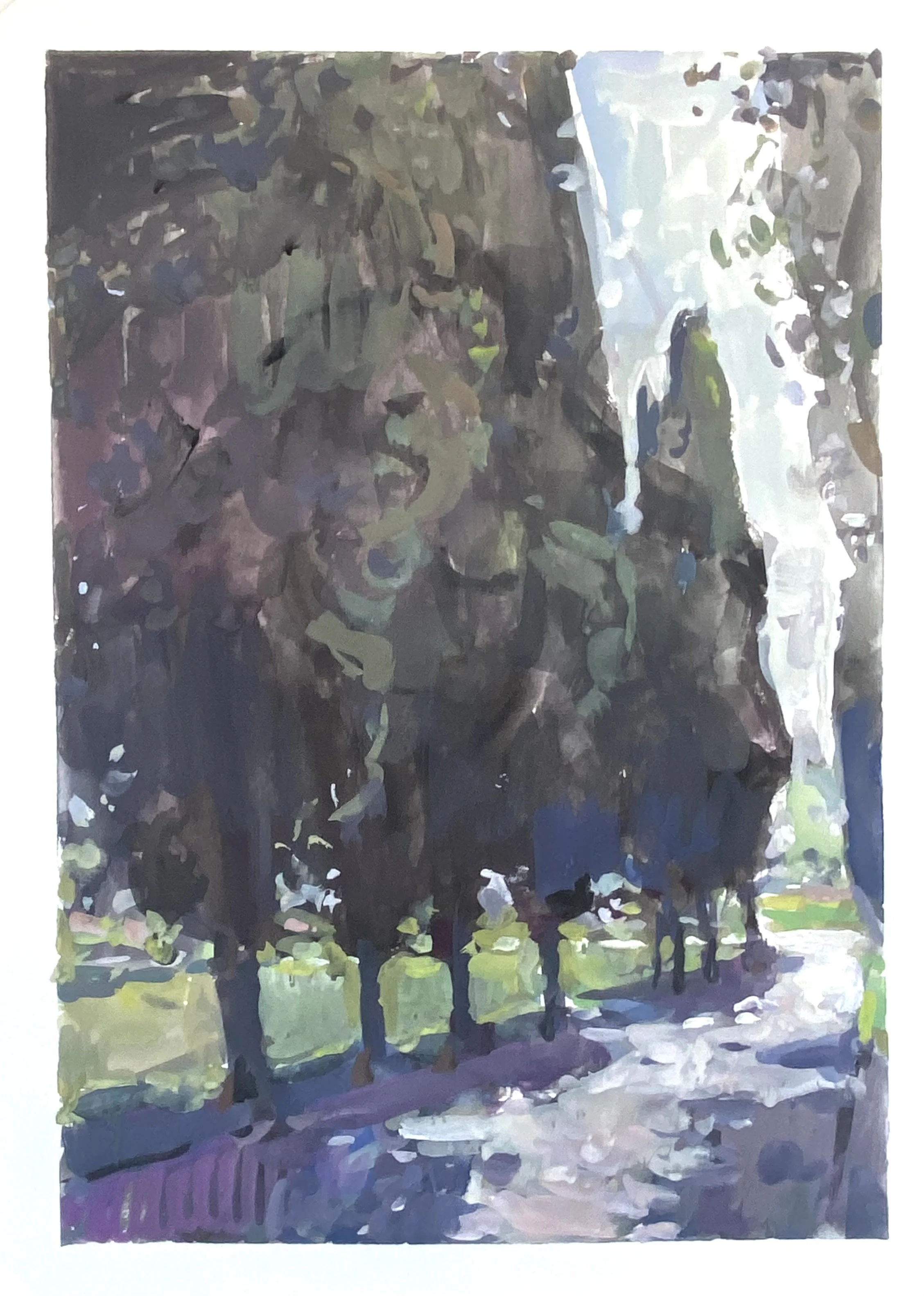 Italian Trees 13x9 $1000.jpg
