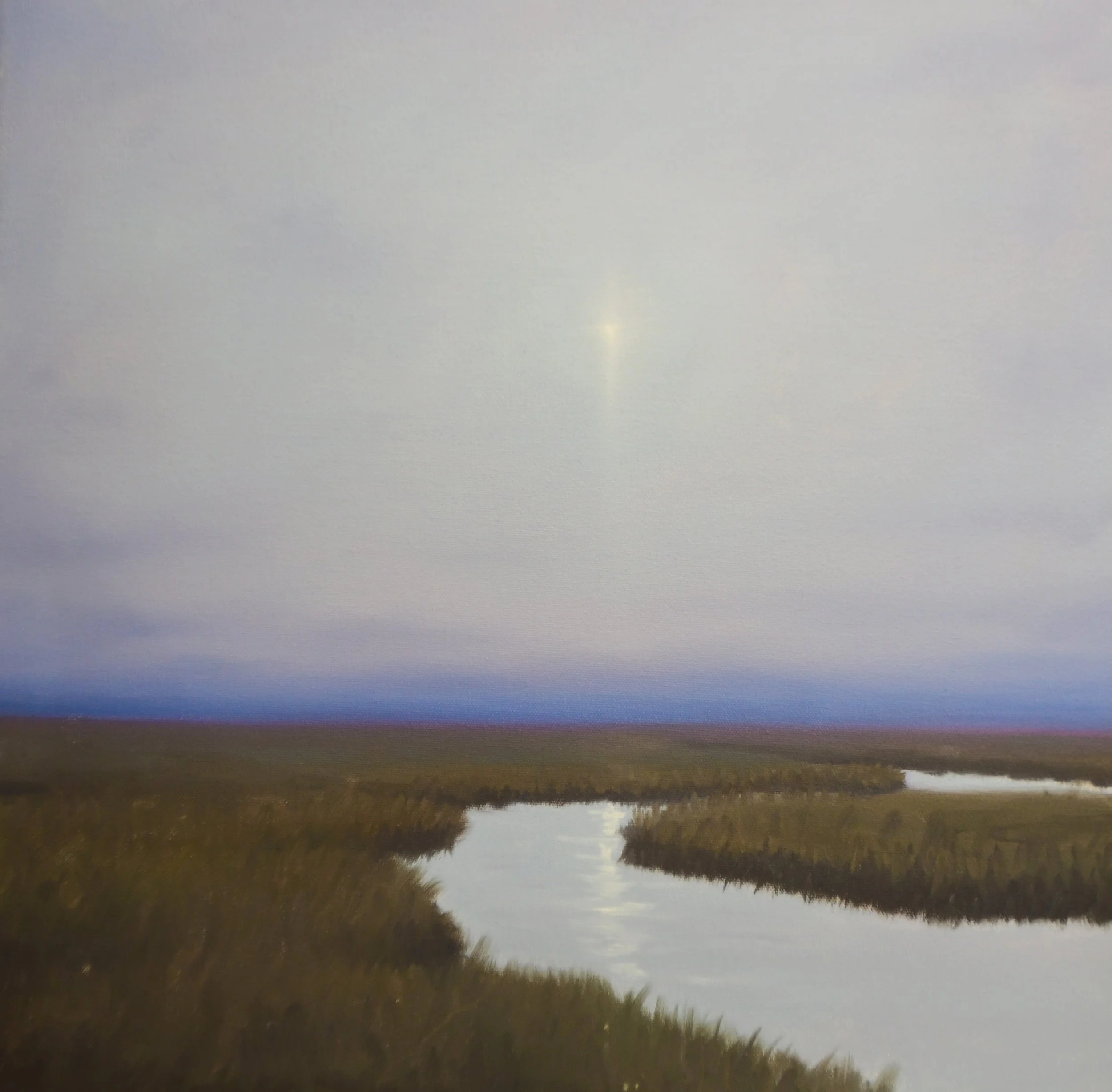 Moonlight Study
