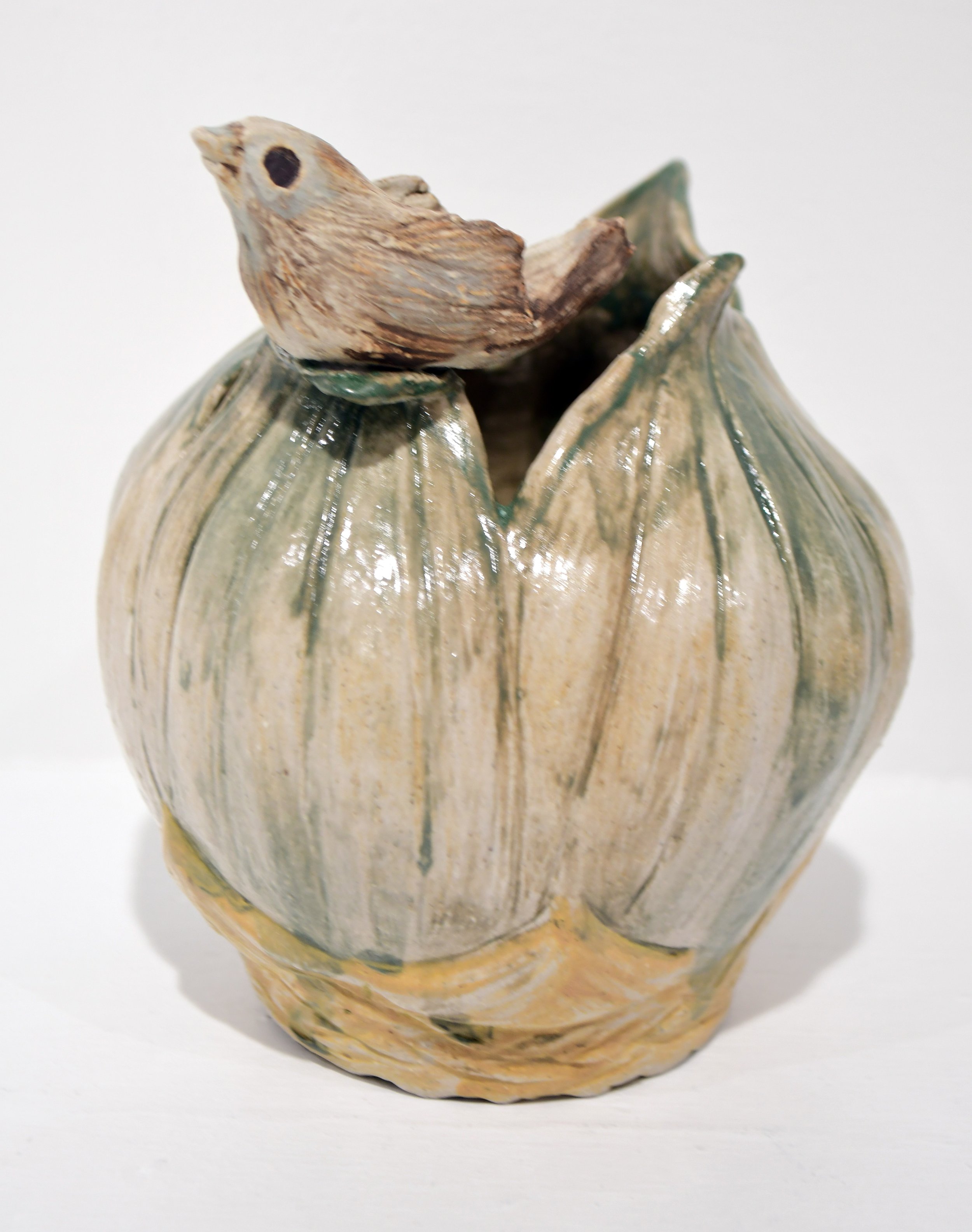 Bird on Bud II $80.JPG