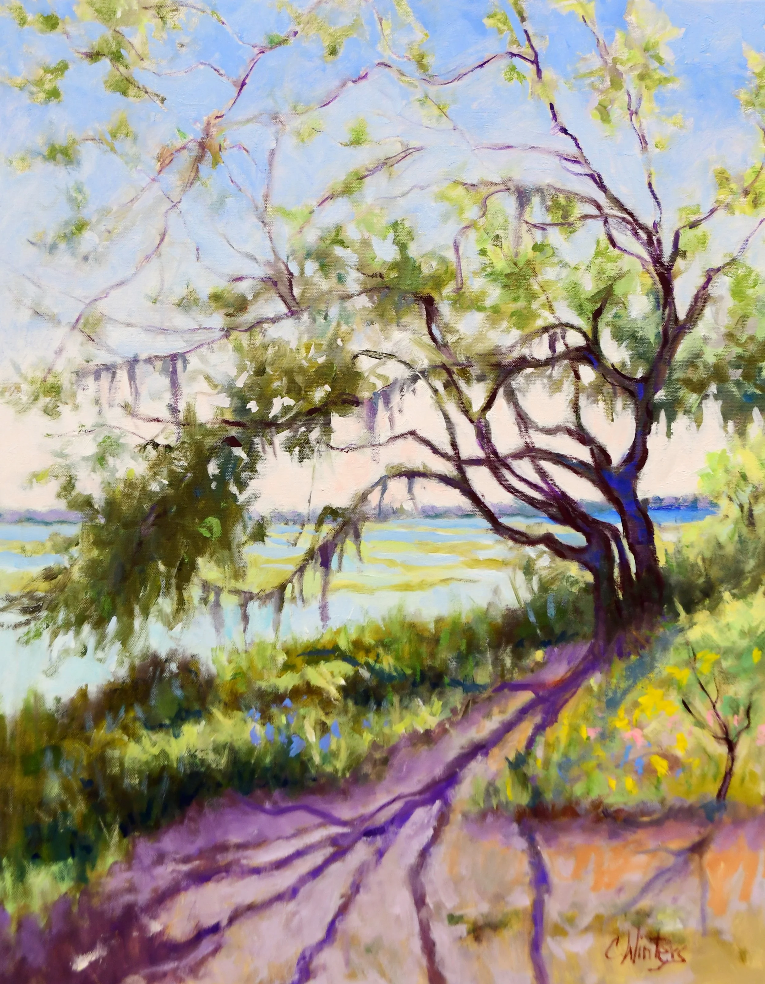 Late Days Shadows 30x24 $3000.JPG