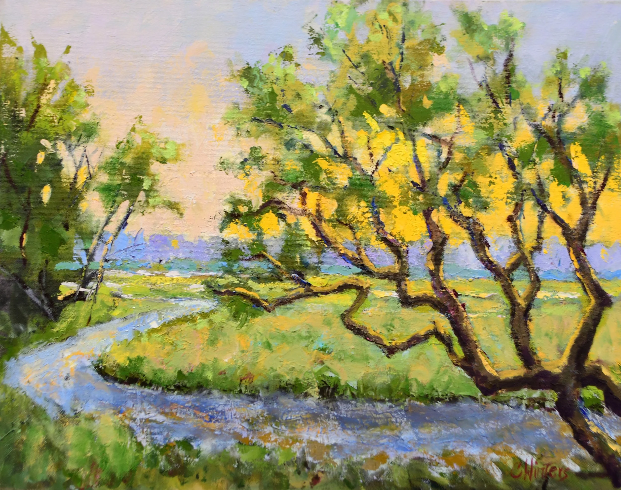 Island Colors 16x20 $1295.JPG