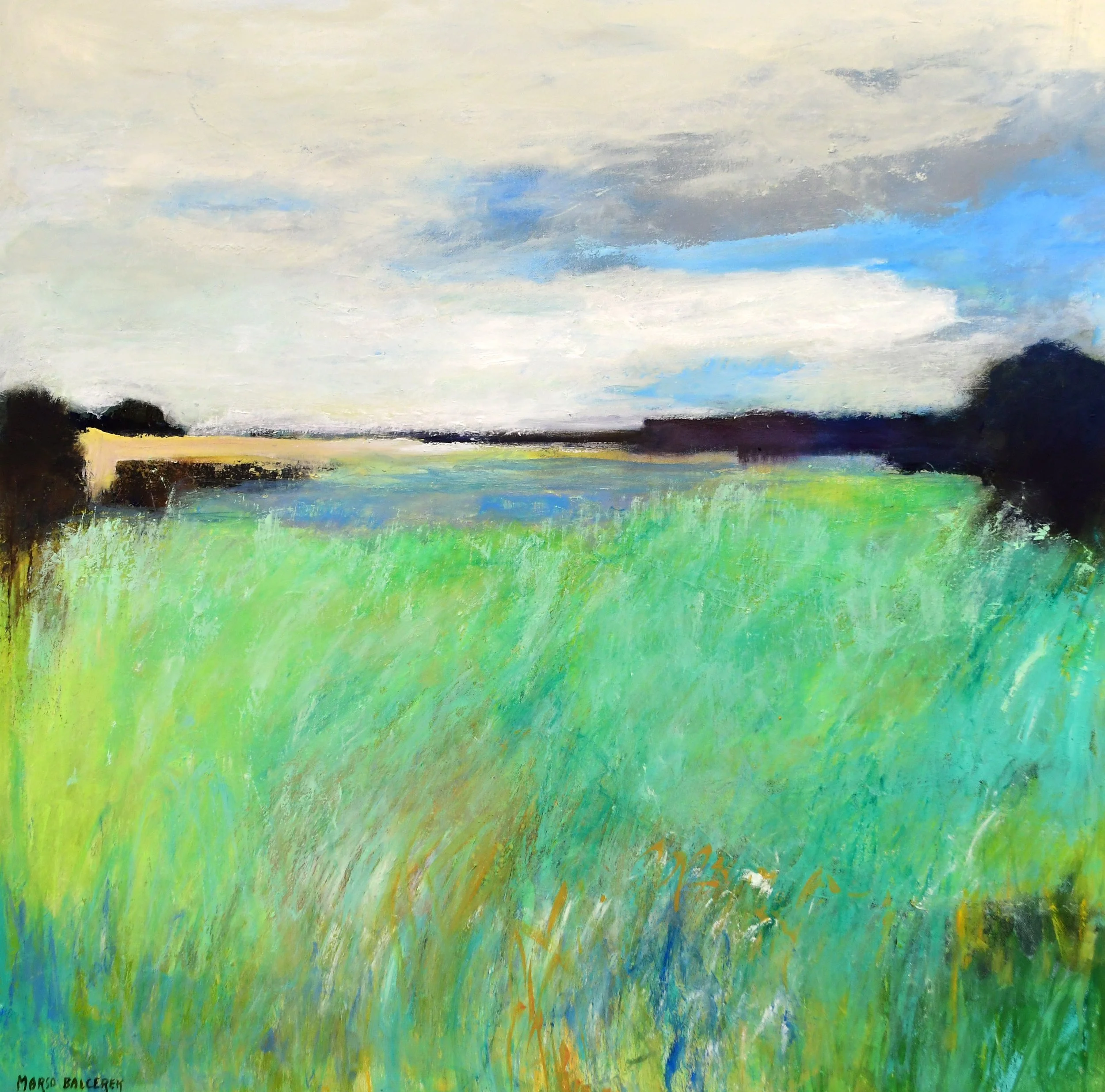 The Lake of Grasses 36x36 $3500.JPG