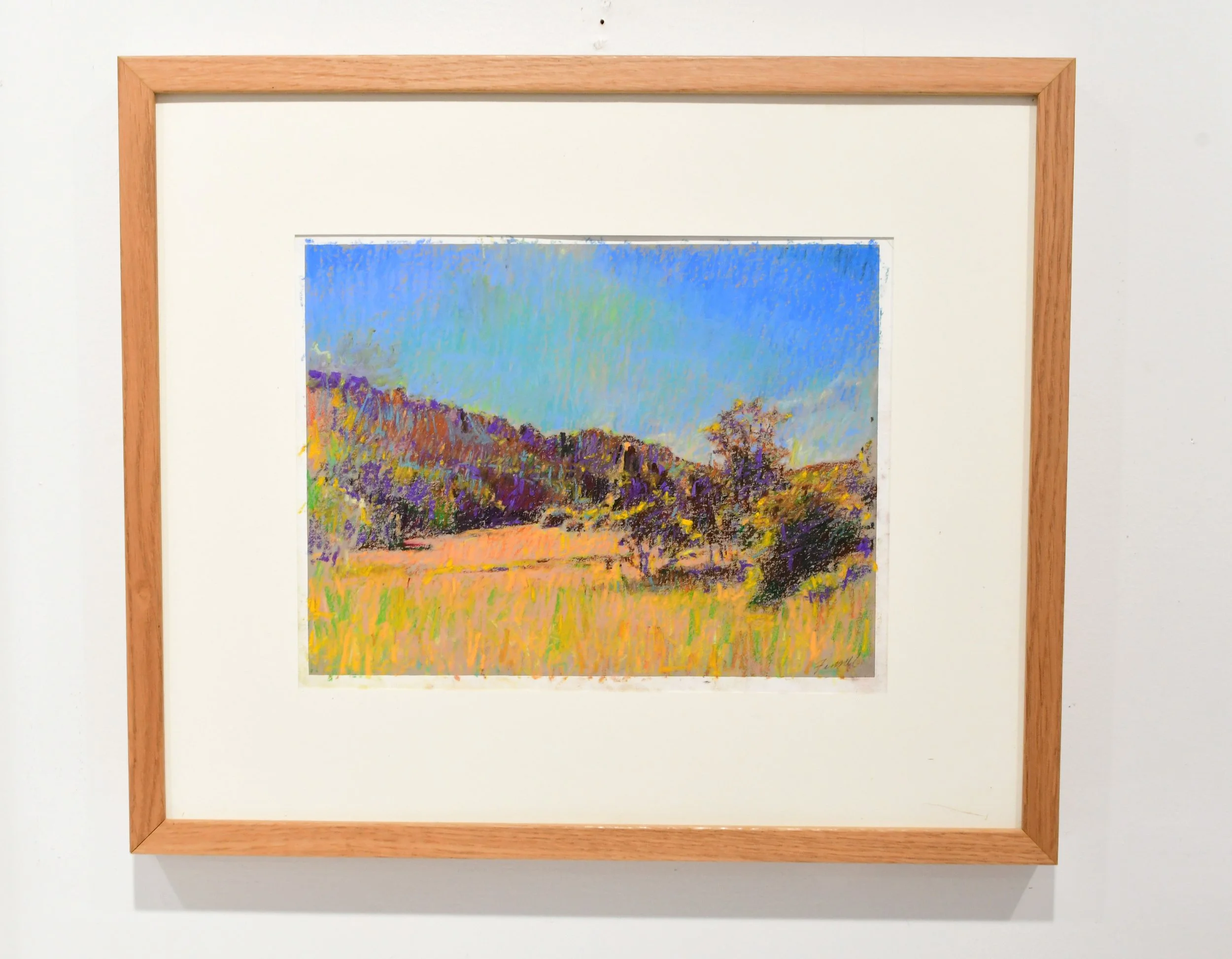 Grassy Creek Meadow 9x12 $2000 FRAMED.JPG