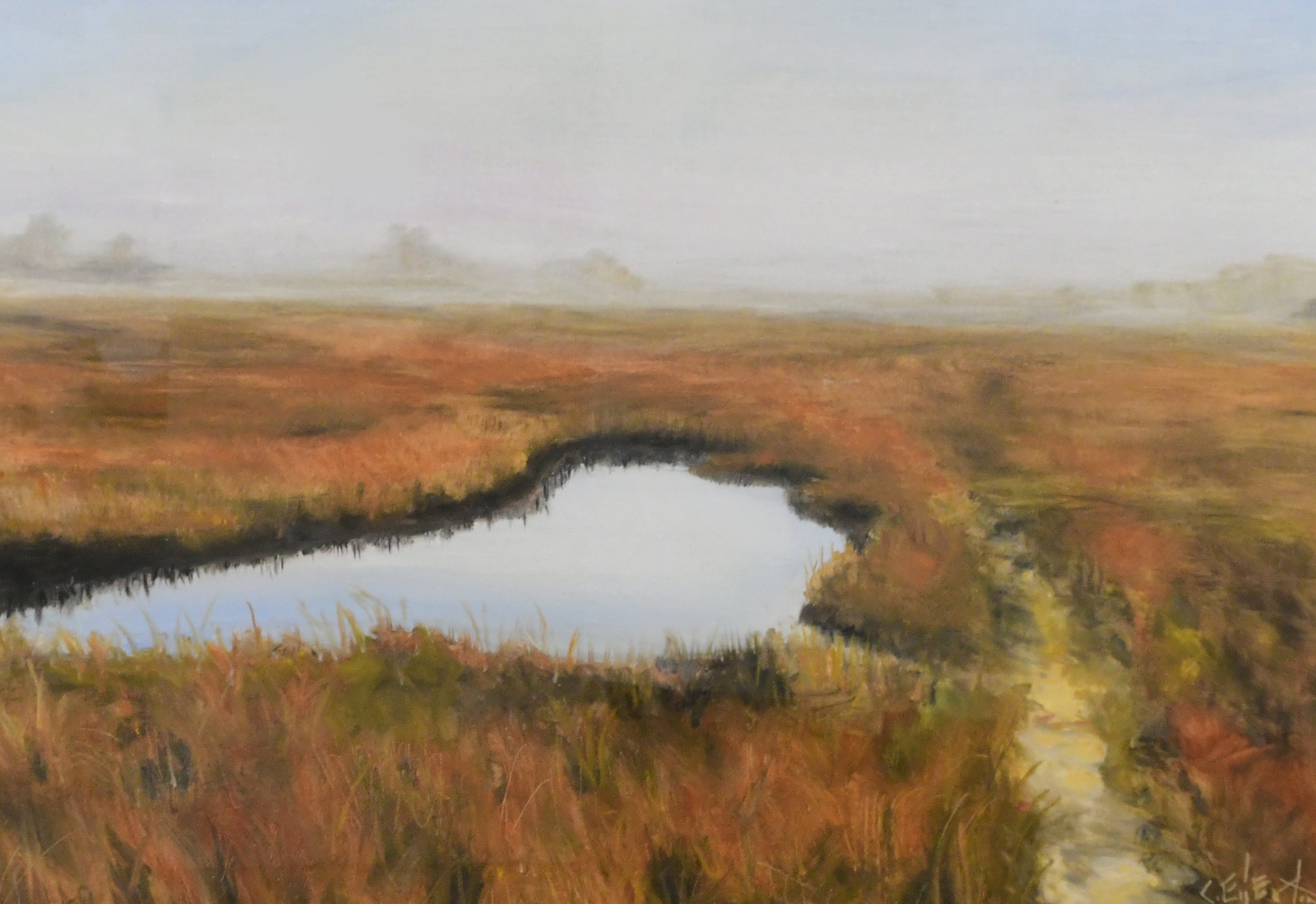 Red Marsh